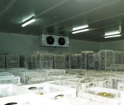 中山冷庫(kù)安裝 中山冷庫(kù)安裝